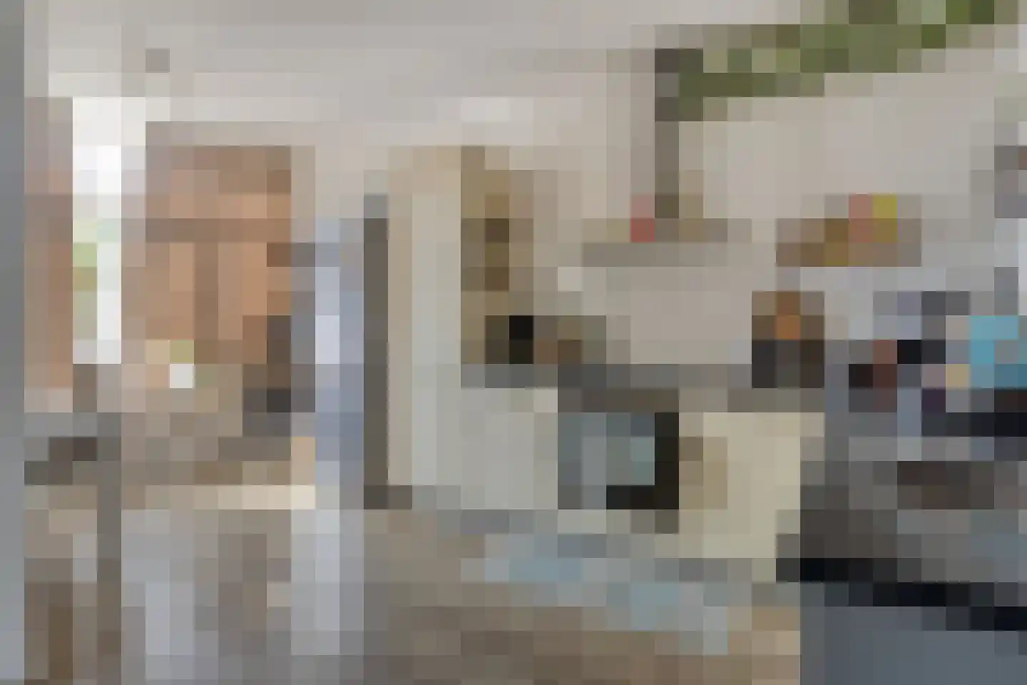 Lingestraat 4 Veghel thumbnail 8