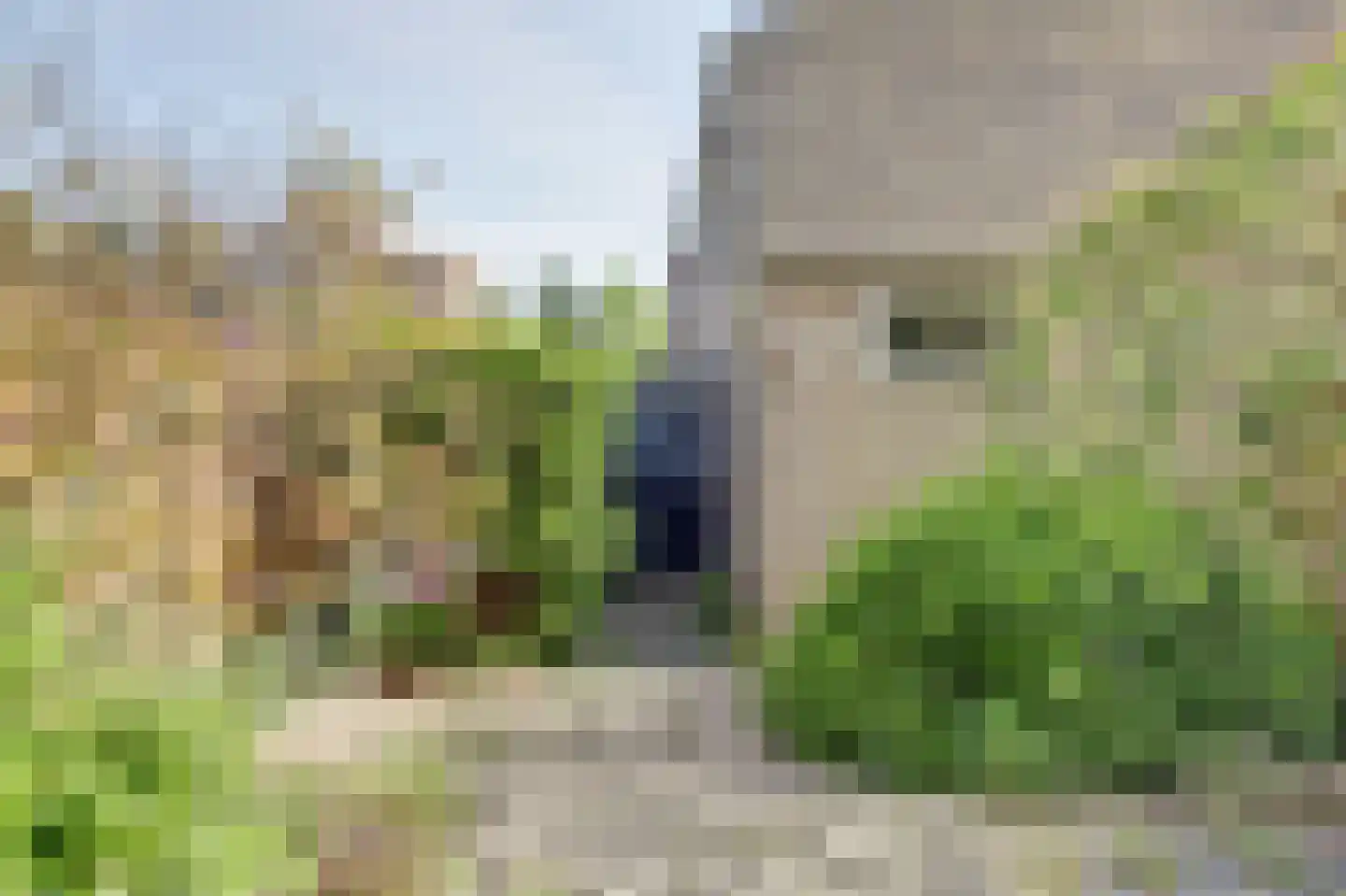 Lingestraat 40 Ridderkerk thumbnail 39