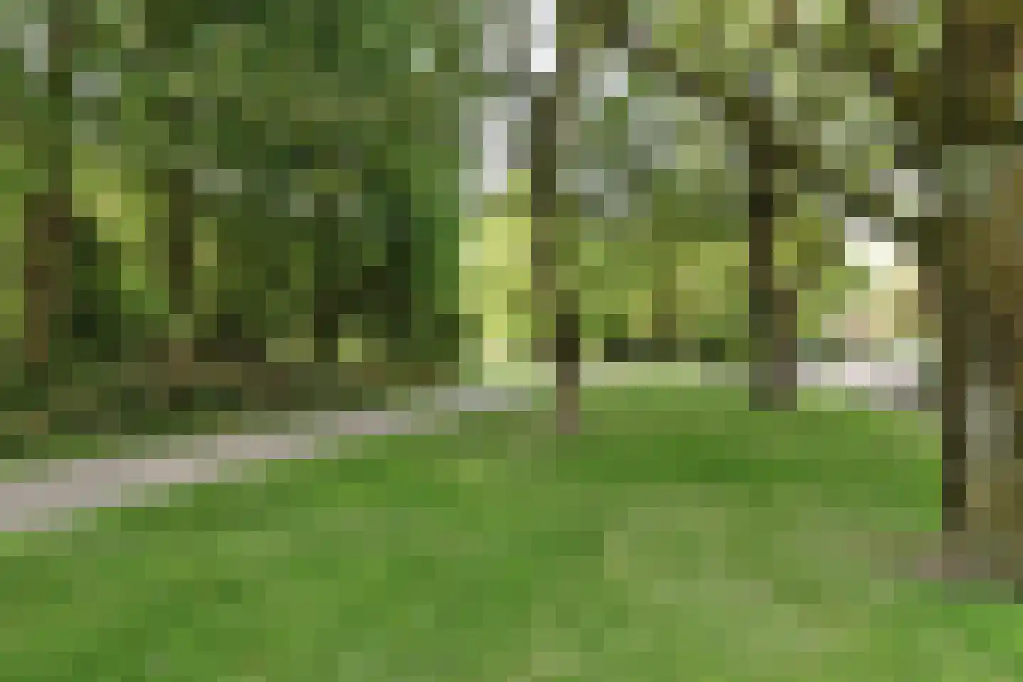 Lingestraat 40 Ridderkerk thumbnail 41