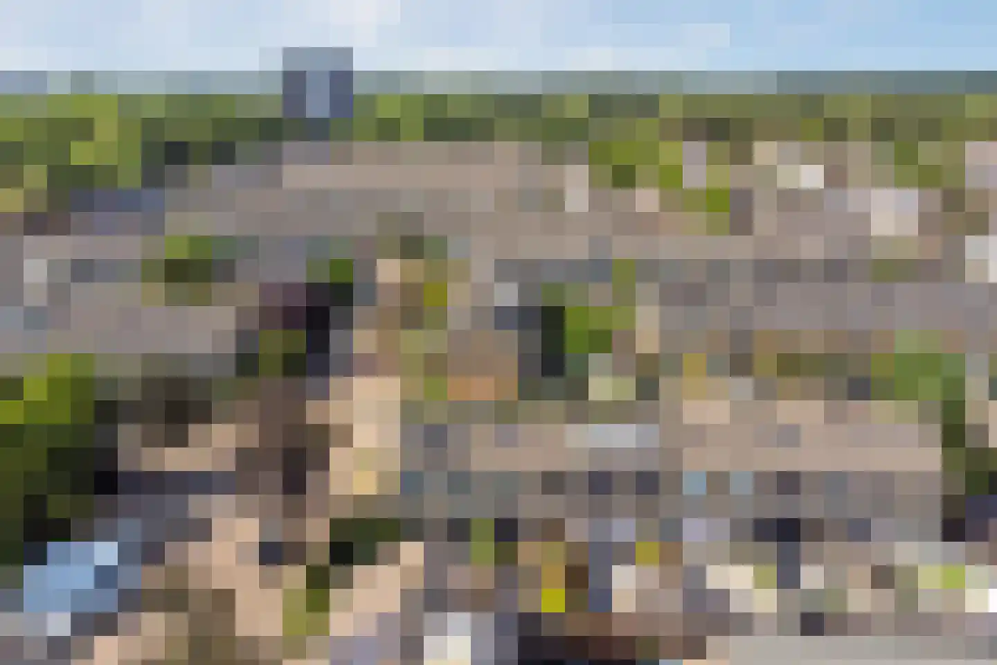Lingestraat 40 Ridderkerk thumbnail 43