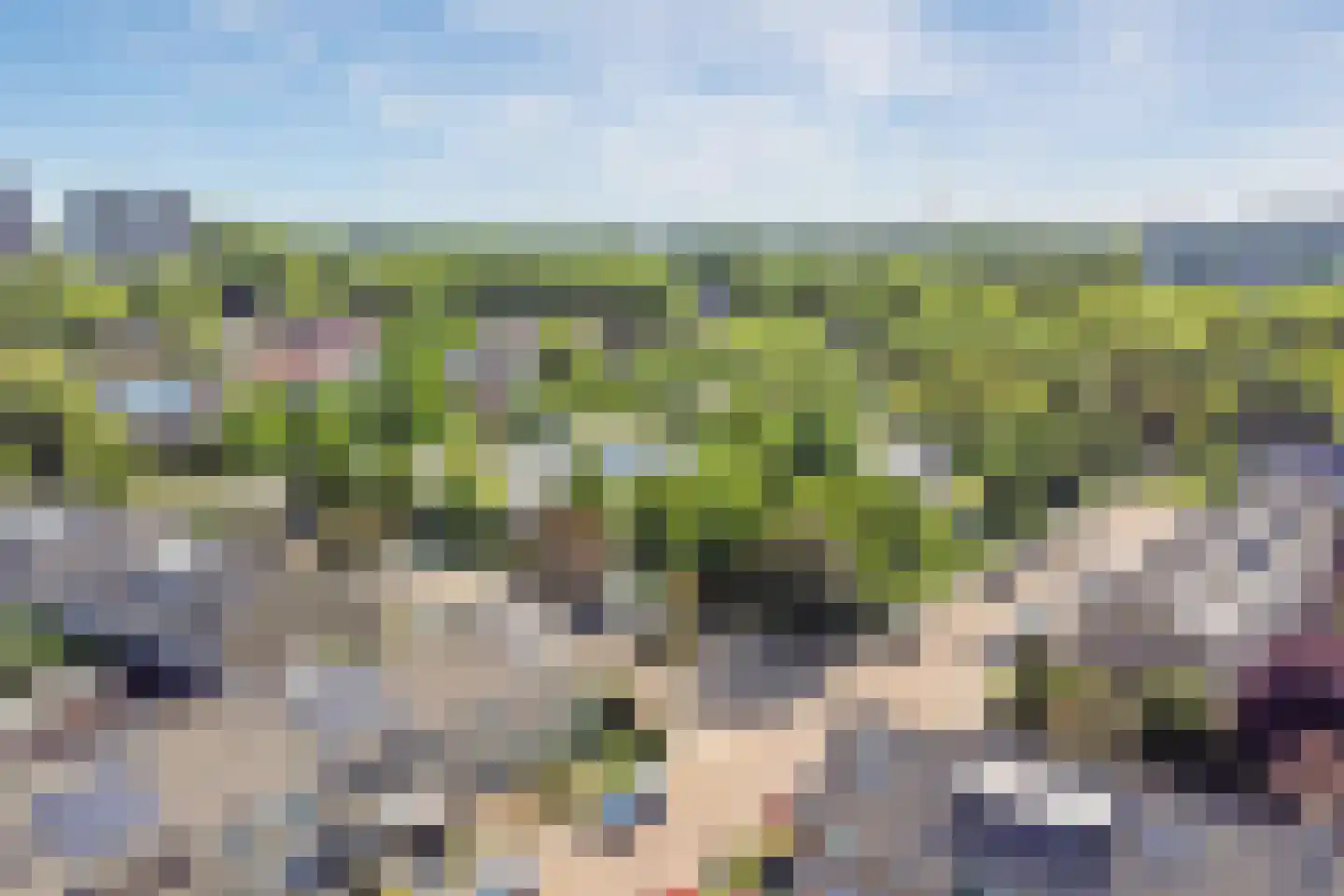 Lingestraat 40 Ridderkerk thumbnail 45