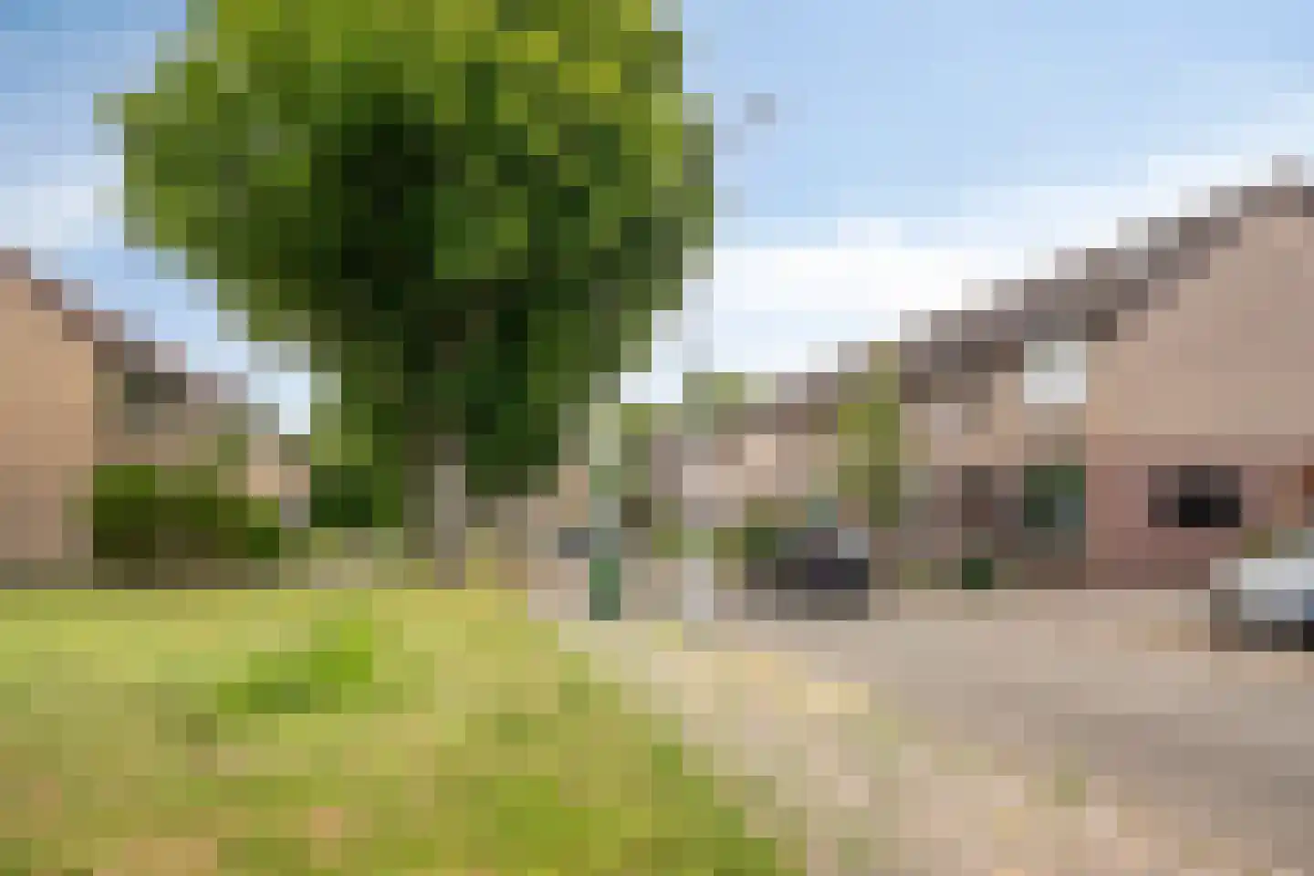 Lingestraat 40 Terneuzen thumbnail 37