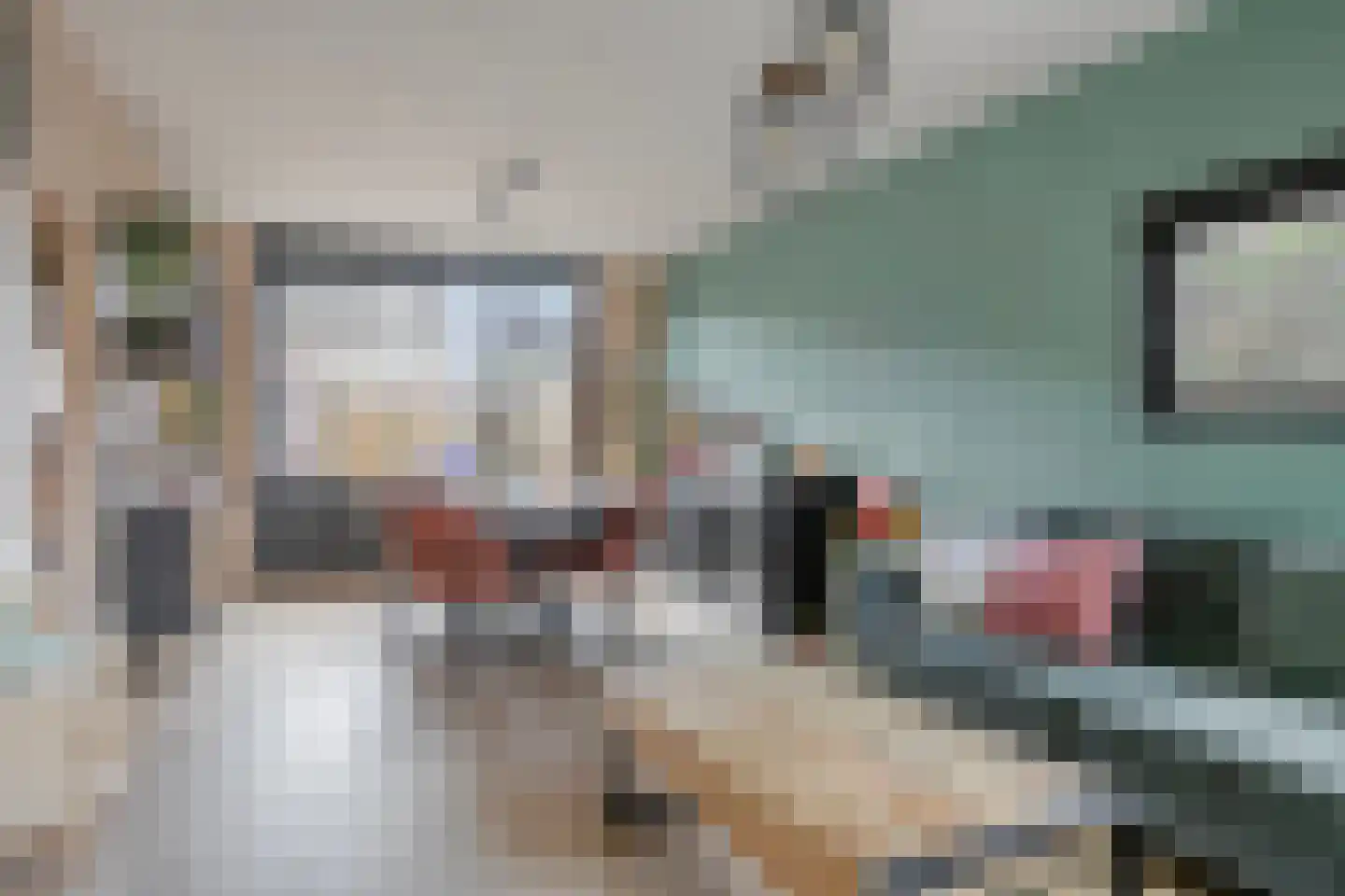 Lingestraat 42 Terneuzen thumbnail 11