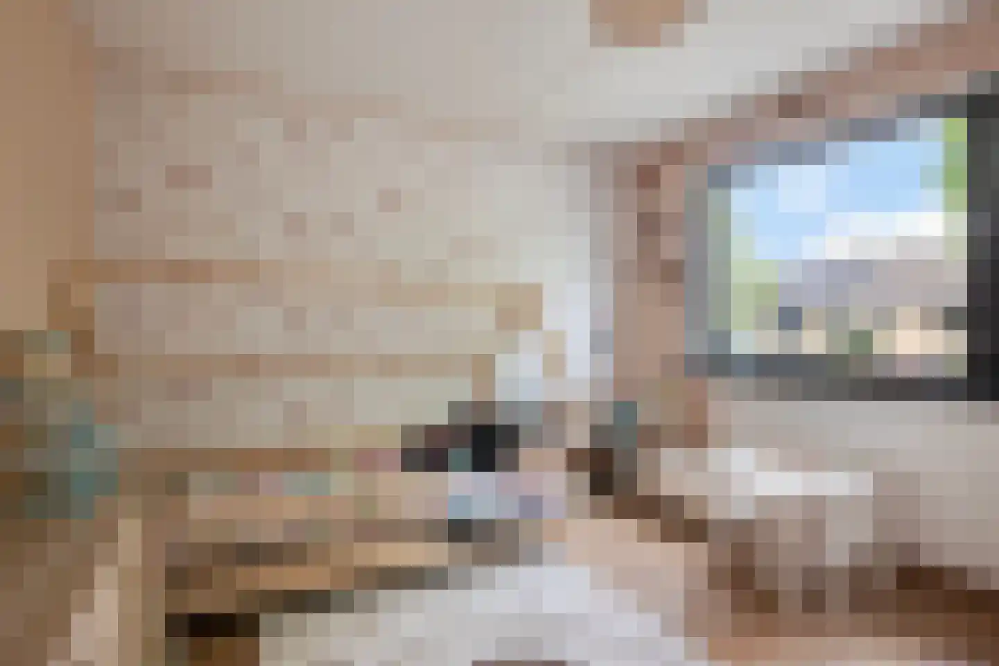 Lingestraat 42 Terneuzen thumbnail 25