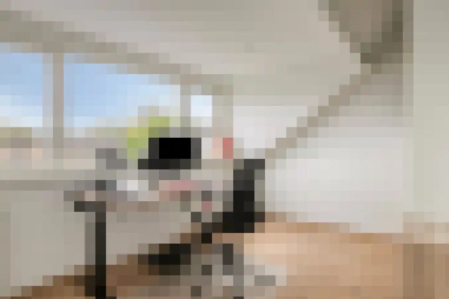 Lingestraat 42 Terneuzen thumbnail 32