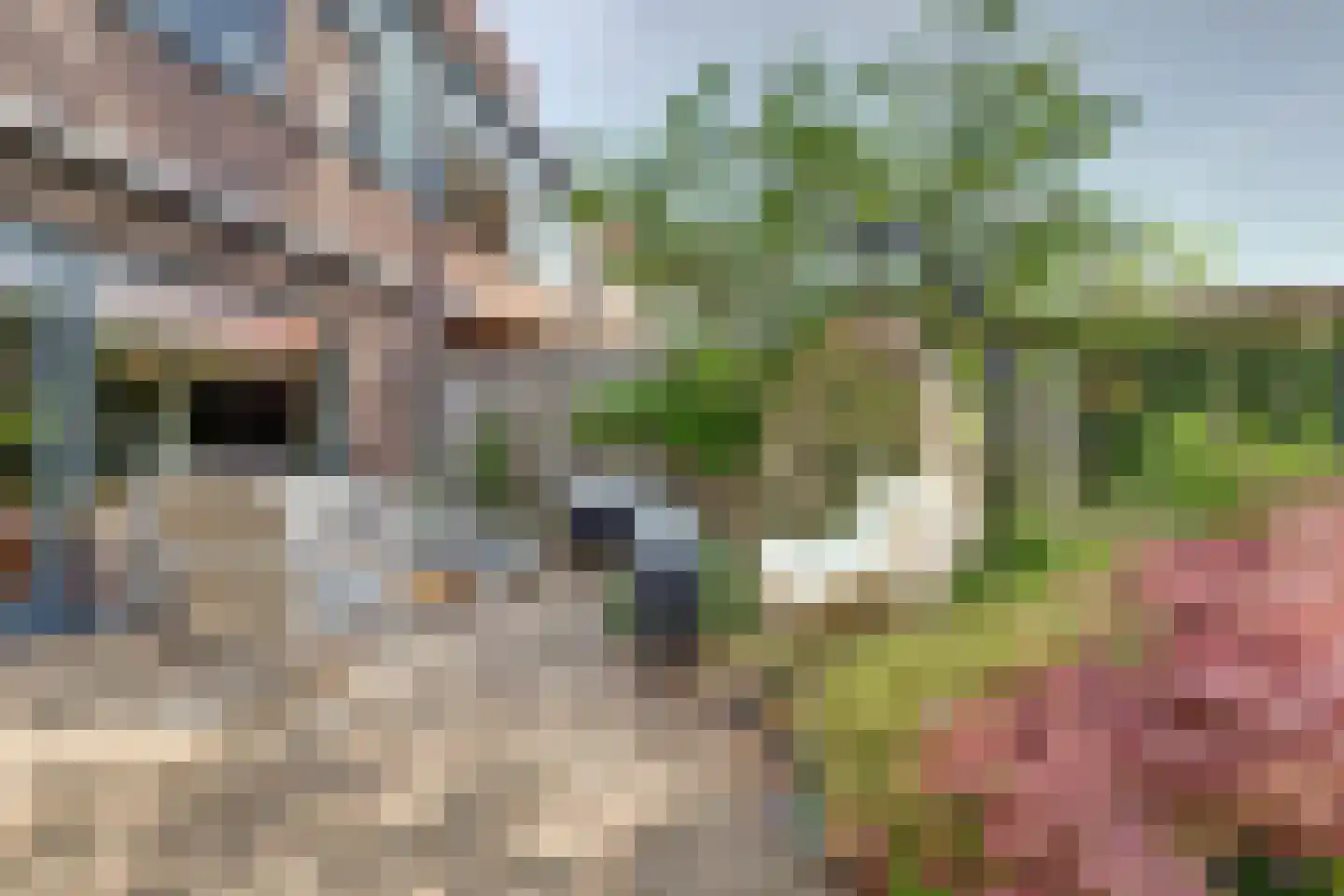 Lingestraat 43 Middelburg thumbnail 33