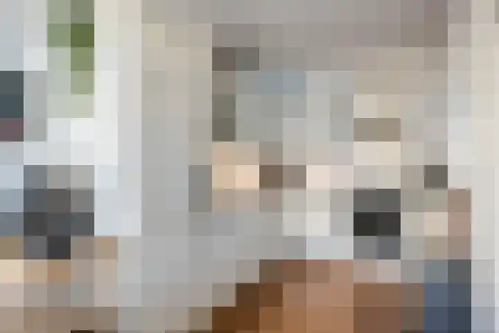 Lingestraat 44 Veghel thumbnail 21