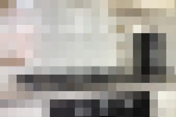Lingestraat 44 Veghel thumbnail 23