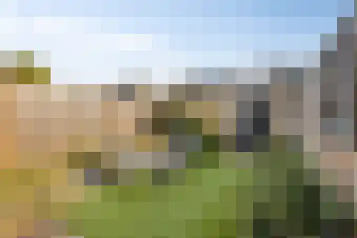 Lingestraat 44 Veghel thumbnail 34