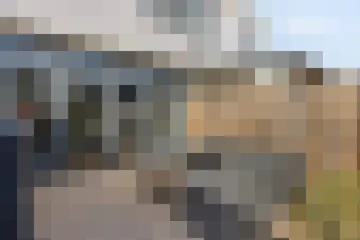 Lingestraat 44 Veghel thumbnail 35