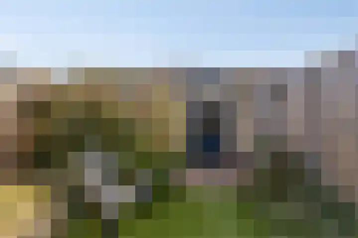 Lingestraat 44 Veghel thumbnail 36