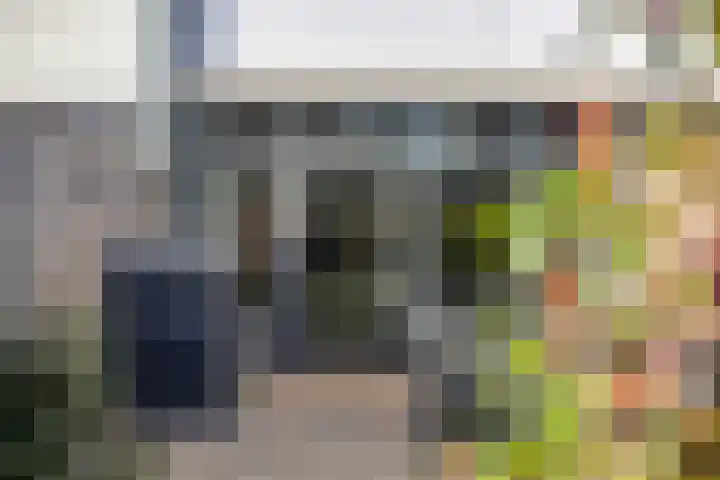 Lingestraat 44 Veghel thumbnail 37