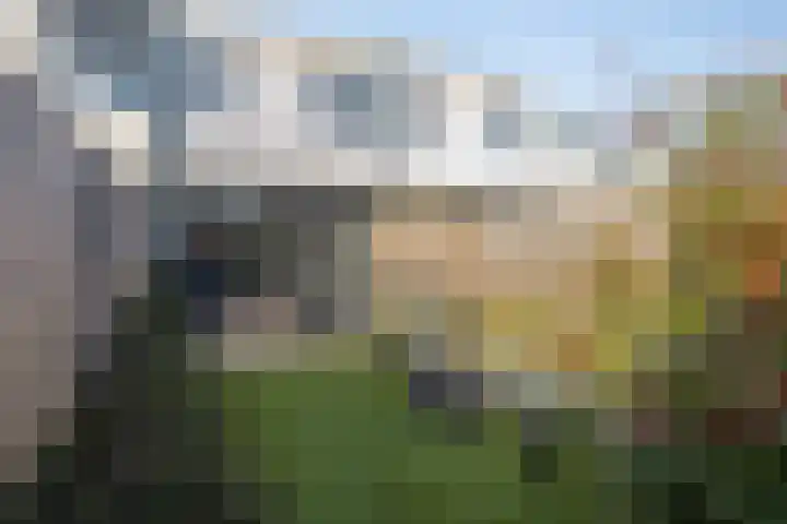 Lingestraat 44 Veghel thumbnail 38