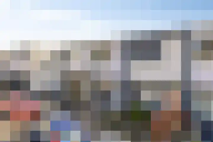 Lingestraat 44 Veghel thumbnail 4