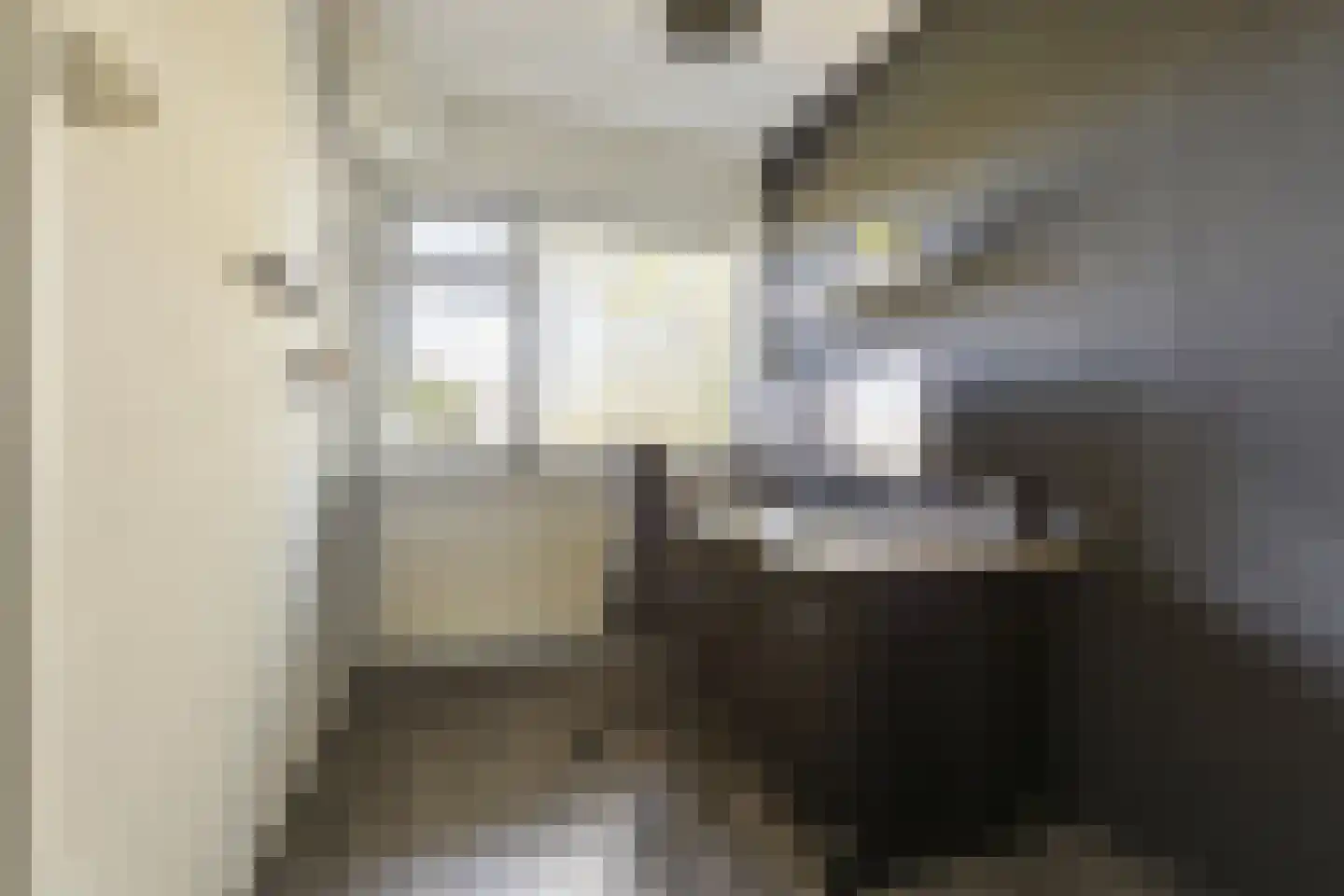 Lingestraat 48 Groningen thumbnail 23