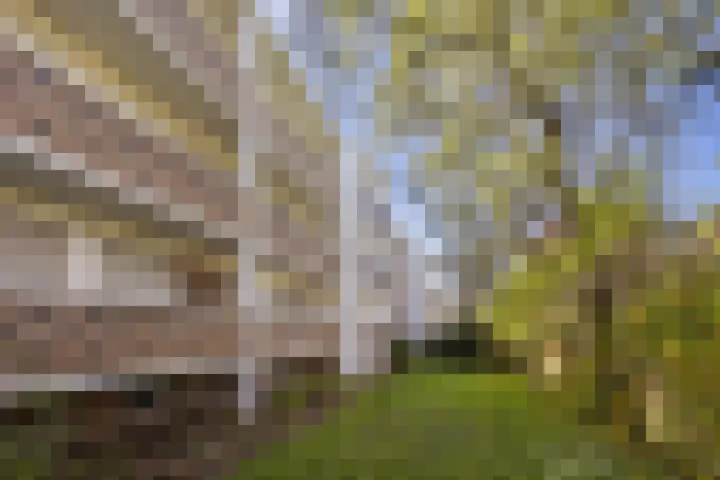 Lingestraat 48 Groningen thumbnail 27