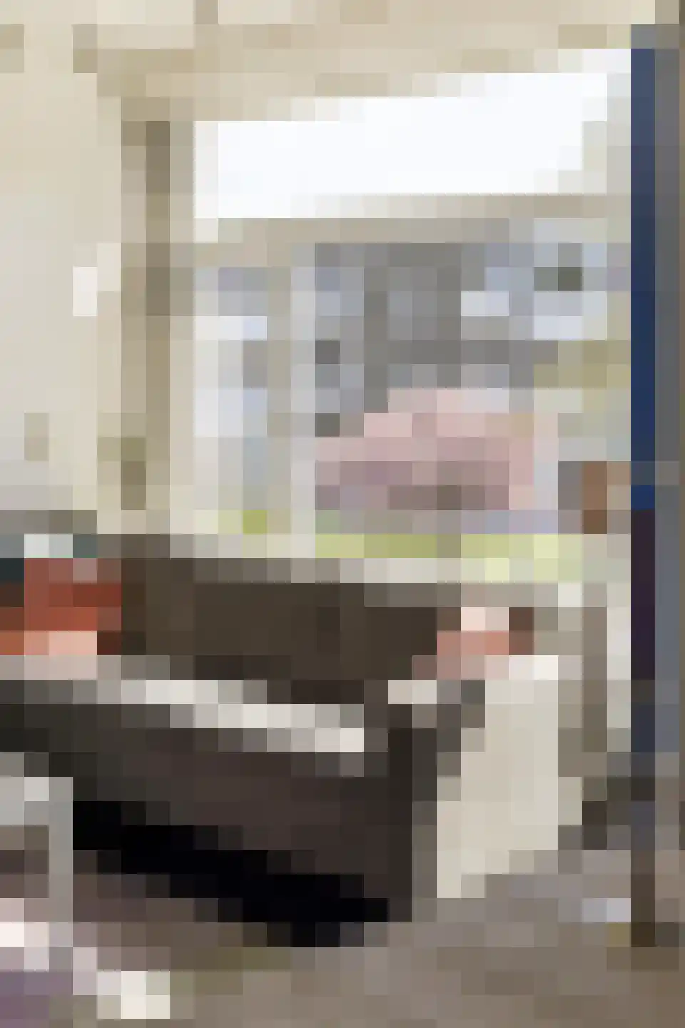 Lingestraat 48 Groningen thumbnail 7