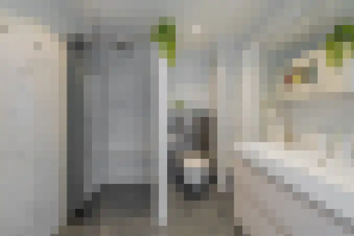 Lingestraat 49 Middelburg thumbnail 35