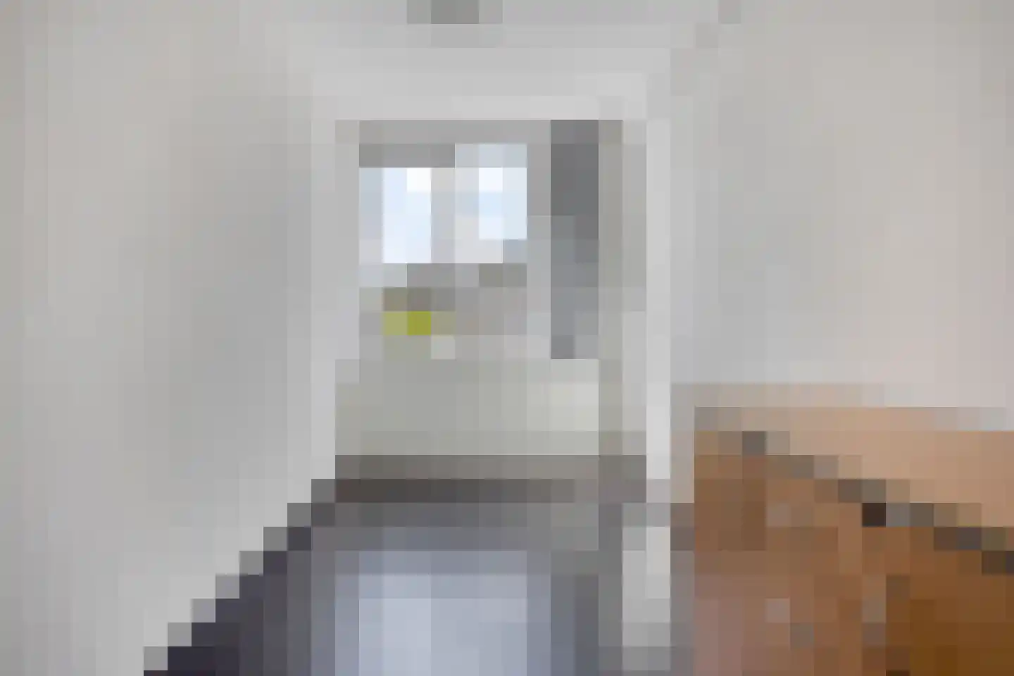 Lingestraat 5 Veghel thumbnail 21