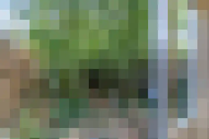 Lingestraat 50 Veghel thumbnail 18