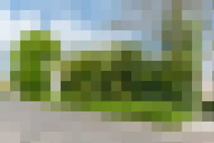 Lingestraat 50 Veghel thumbnail 20