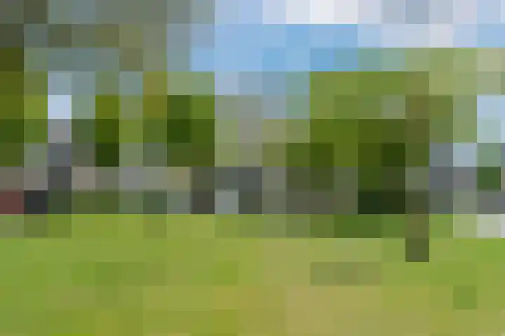 Lingestraat 50 Veghel thumbnail 21