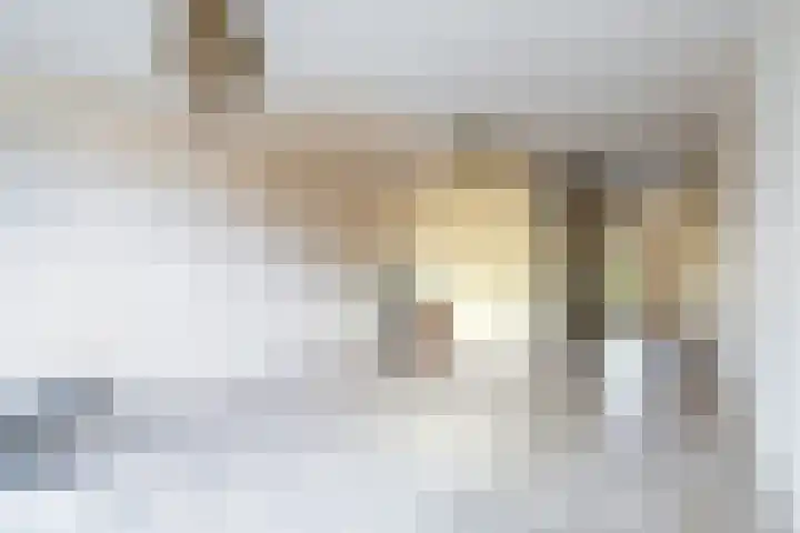 Lingestraat 50 Veghel thumbnail 6
