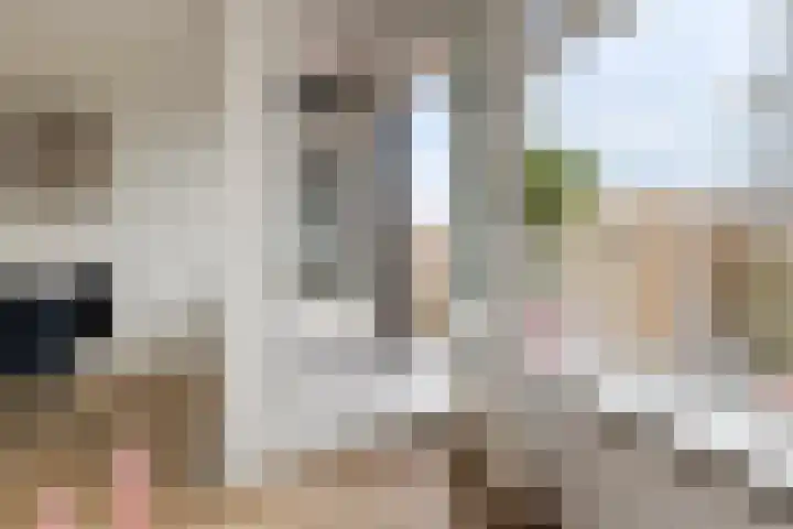 Lingestraat 51 Groningen thumbnail 15