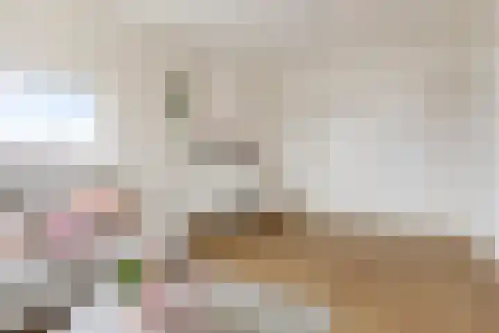 Lingestraat 51 Groningen thumbnail 18