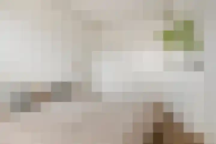 Lingestraat 51 Groningen thumbnail 25