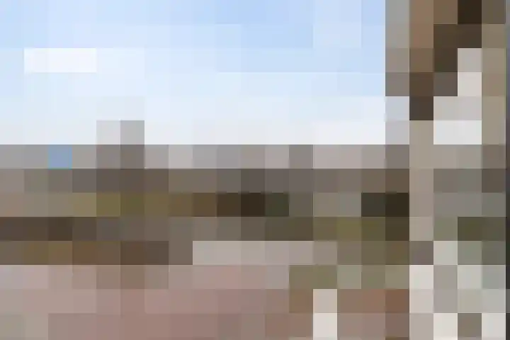 Lingestraat 51 Groningen thumbnail 35