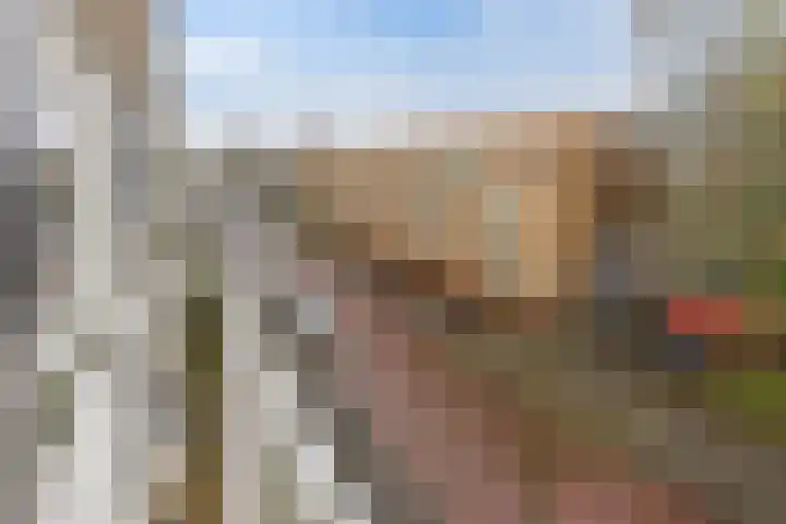 Lingestraat 51 Groningen thumbnail 36