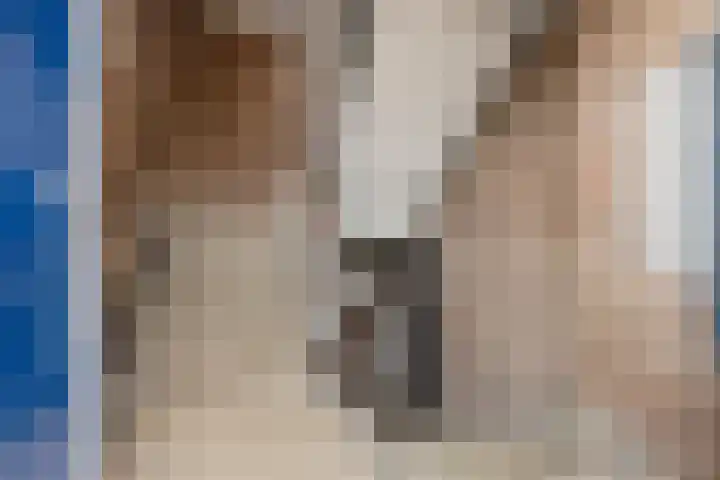 Lingestraat 51 Groningen thumbnail 38