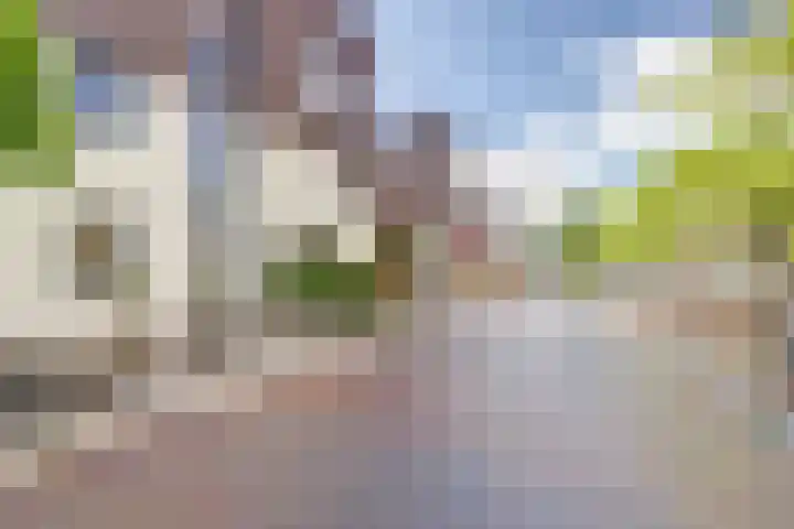 Lingestraat 51 Middelburg thumbnail 6