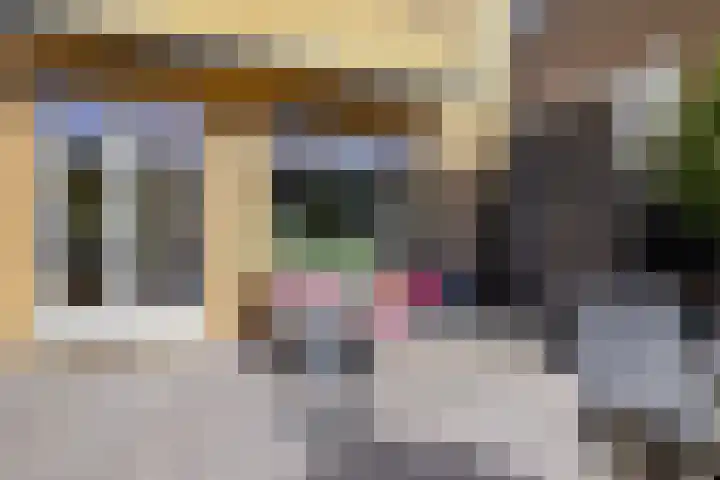 Lingestraat 55 Berkel en Rodenrijs thumbnail 16