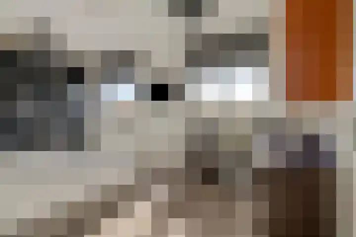 Lingestraat 55 Berkel en Rodenrijs thumbnail 34