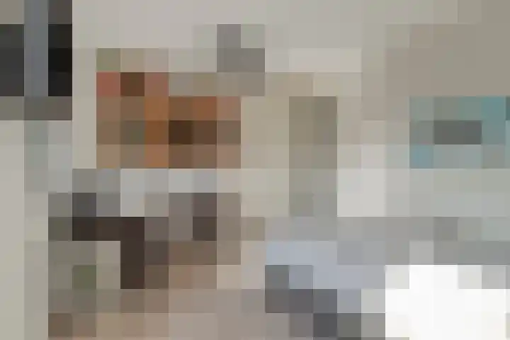 Lingestraat 55 Berkel en Rodenrijs thumbnail 35