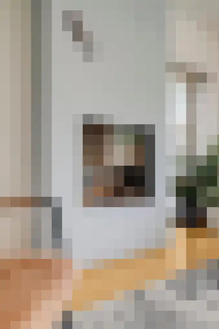 Lingestraat 55 Berkel en Rodenrijs thumbnail 8