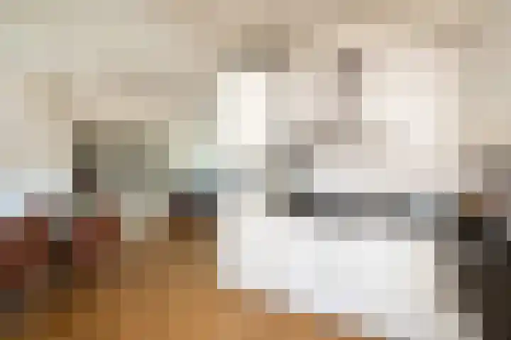 Lingestraat 6 Ridderkerk thumbnail 11
