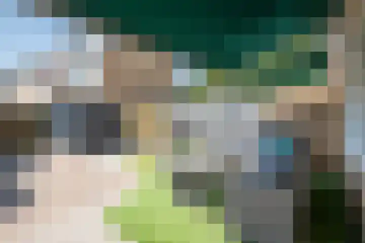 Lingestraat 6 Ridderkerk thumbnail 13