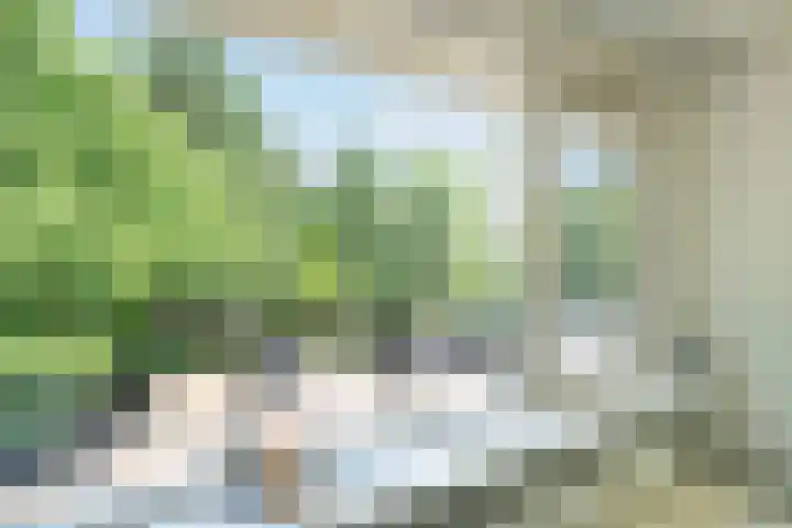 Lingestraat 6 Ridderkerk thumbnail 19