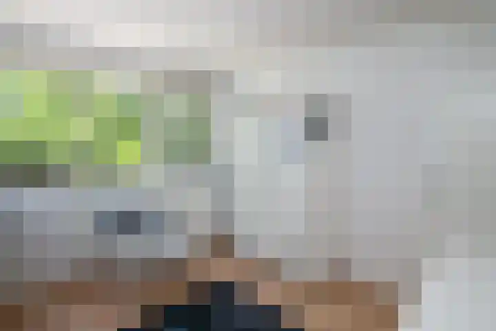 Lingestraat 6 Ridderkerk thumbnail 20
