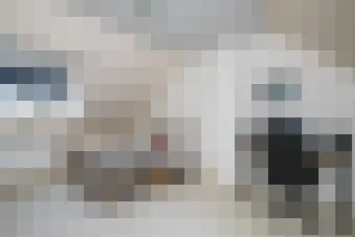 Lingestraat 6 Ridderkerk thumbnail 22