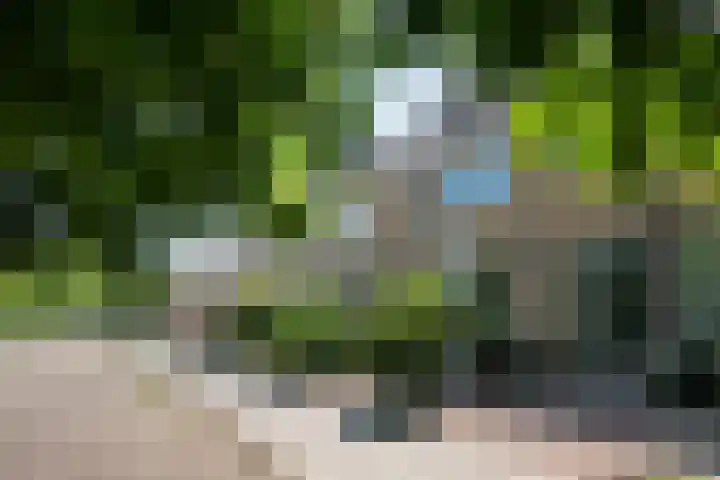 Lingestraat 6 Ridderkerk thumbnail 28