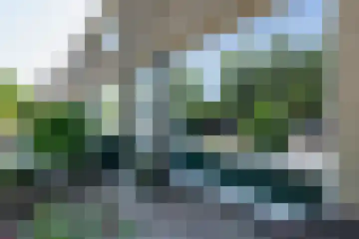 Lingestraat 6 Ridderkerk thumbnail 29