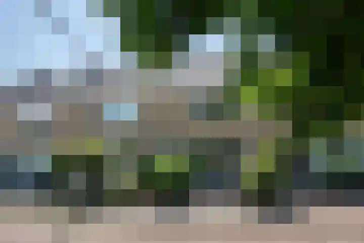 Lingestraat 6 Ridderkerk thumbnail 44