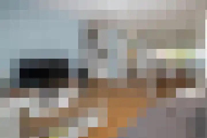 Lingestraat 6 Ridderkerk thumbnail 6