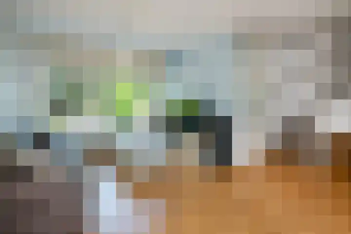 Lingestraat 6 Ridderkerk thumbnail 7