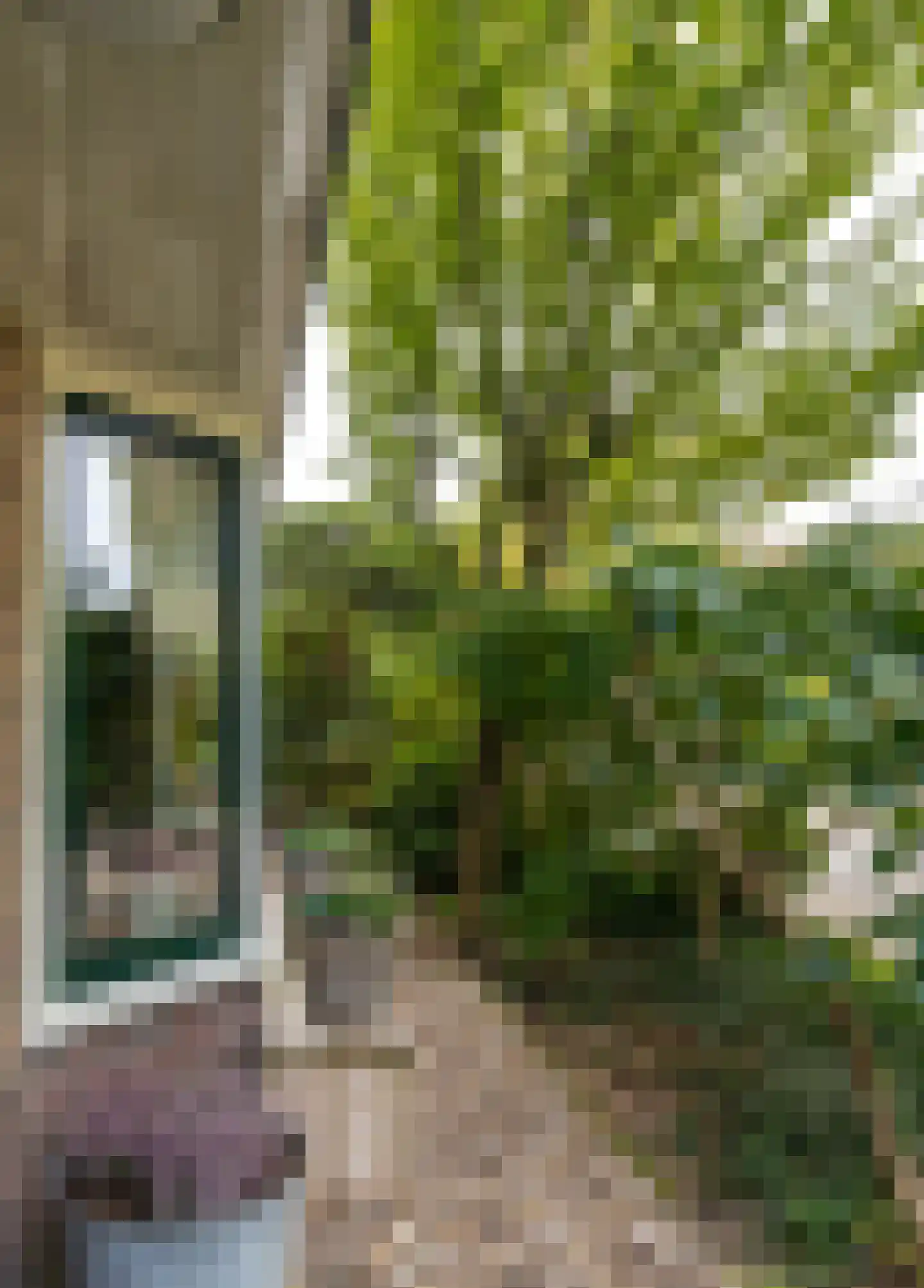 Lingestraat 7 Amersfoort thumbnail 12