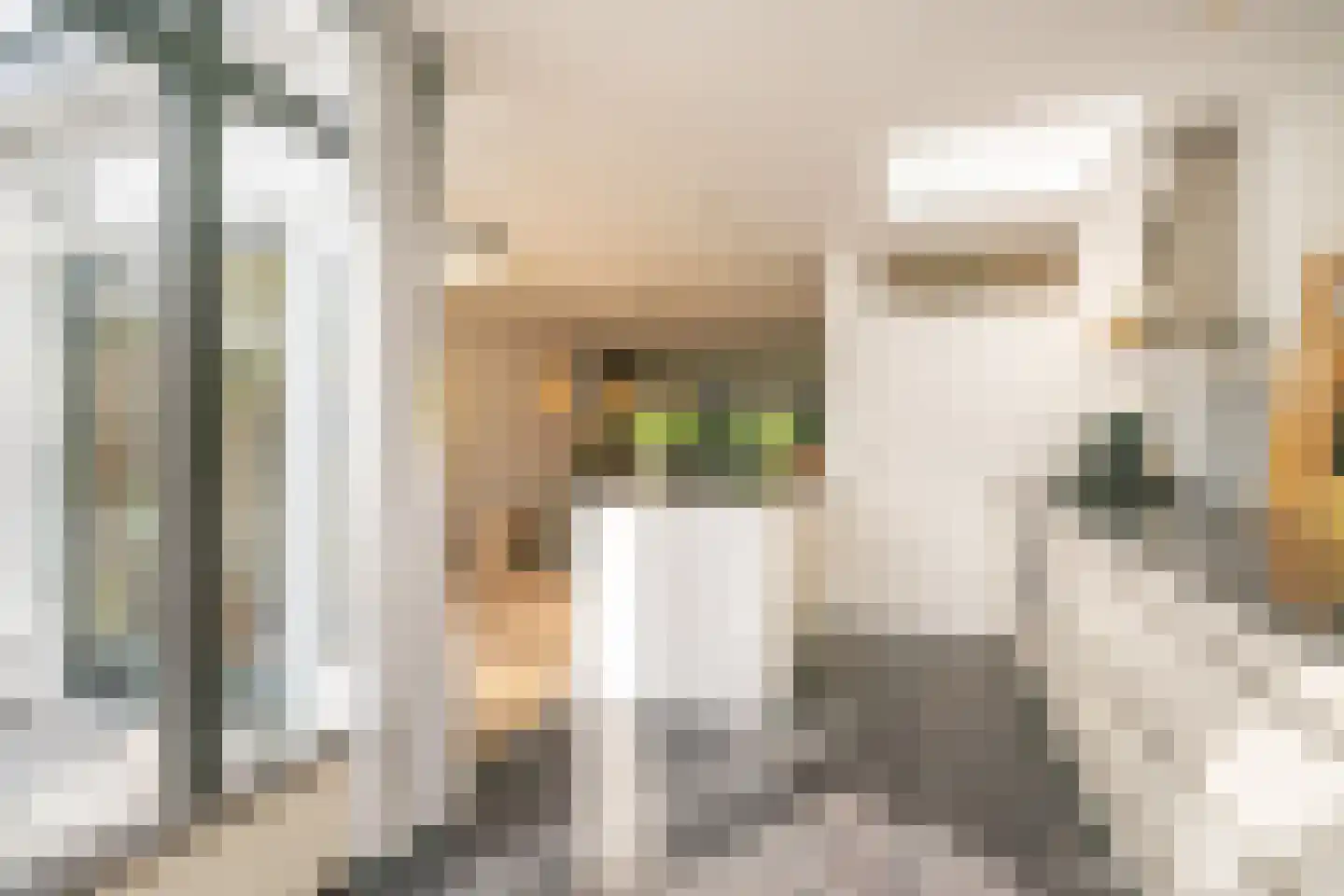 Lingestraat 7 Amersfoort thumbnail 30